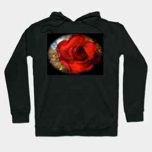 Red Rose 111 Hoodie